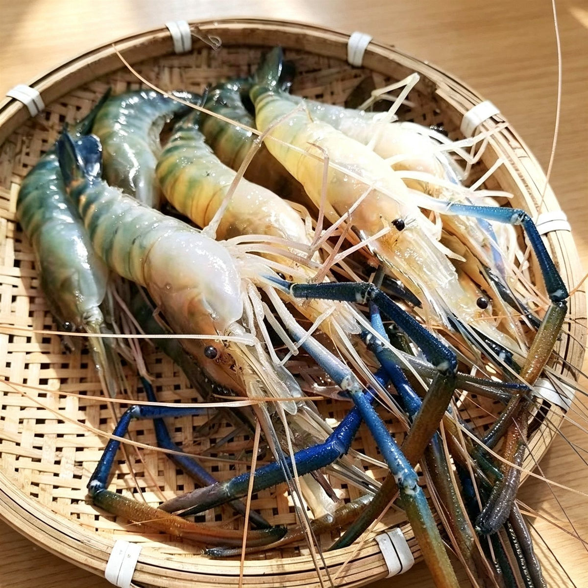 Giant River Prawn